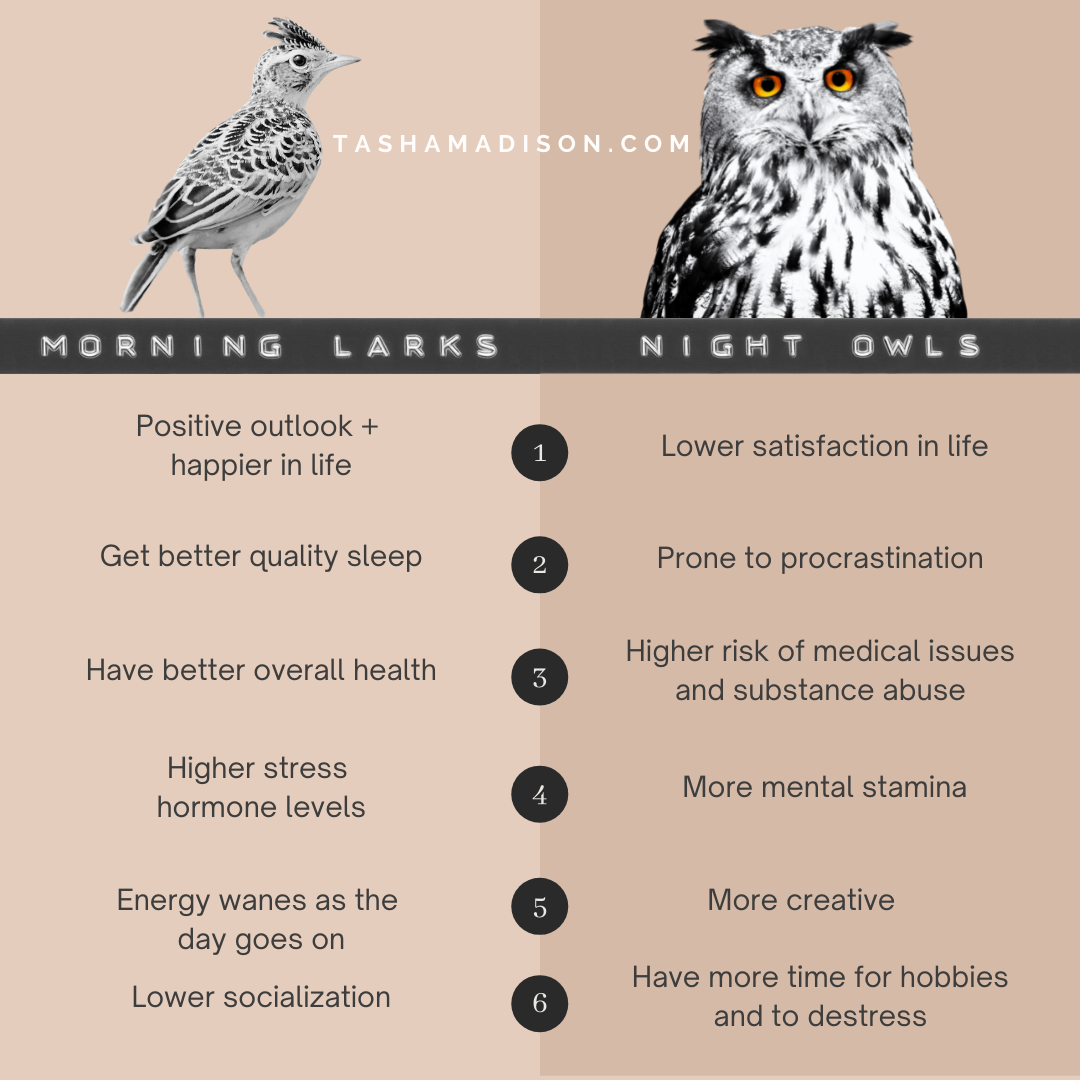 night-owls-vs-morning-larks-6-science-backed